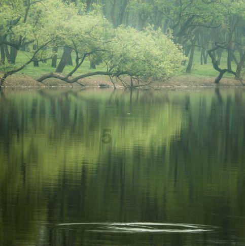 春雨直播app