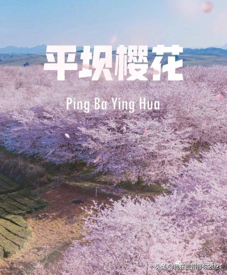 地球防卫军4.1