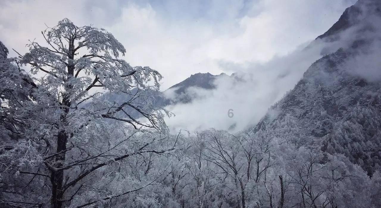 泰坦黎明