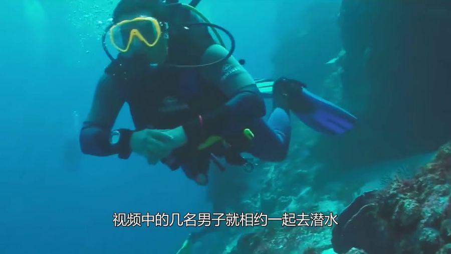 李俊杰任国泰君安证券股份有限公司党委副书记、总裁