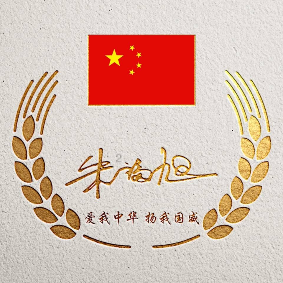 拯救受伤的猫